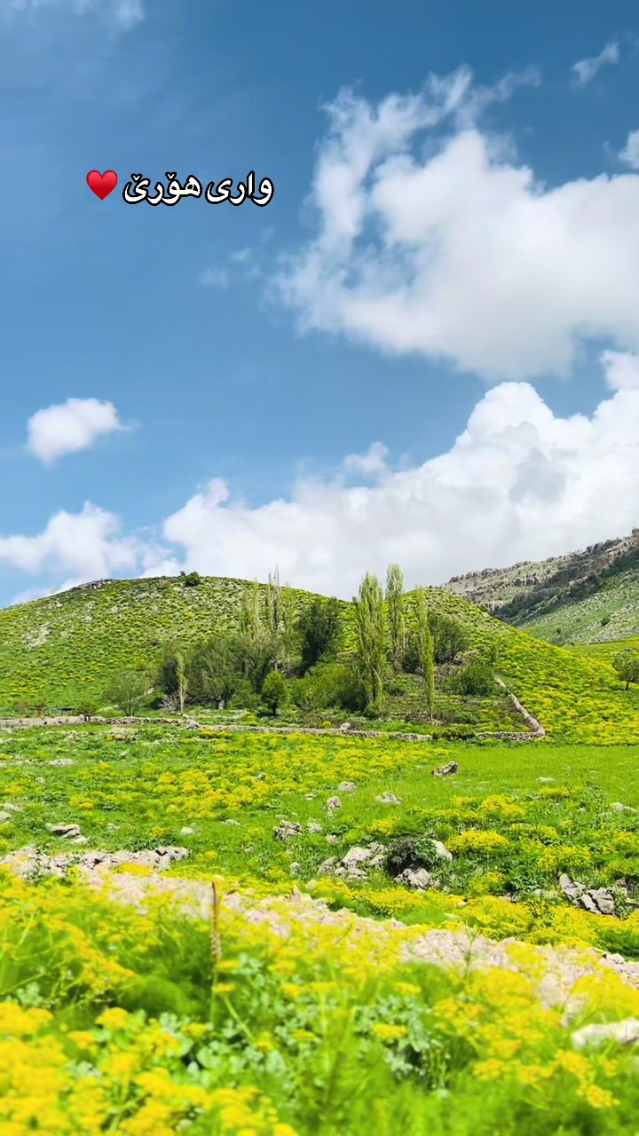 @﮼البارزانی 🦅⚜️