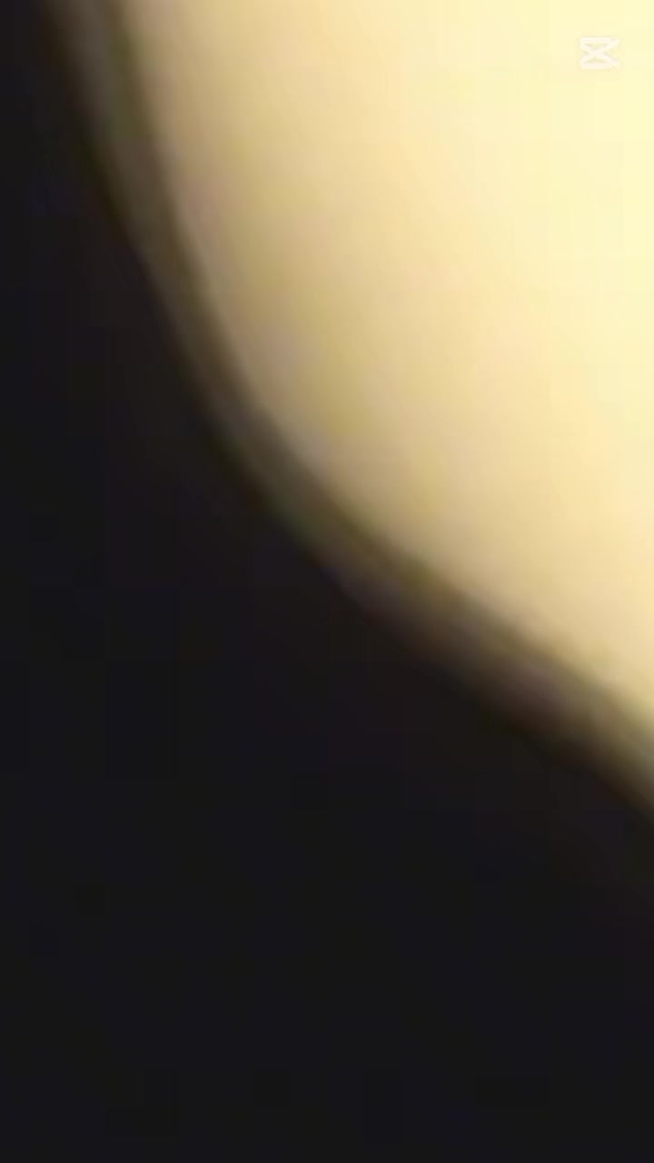 @조야🕊
