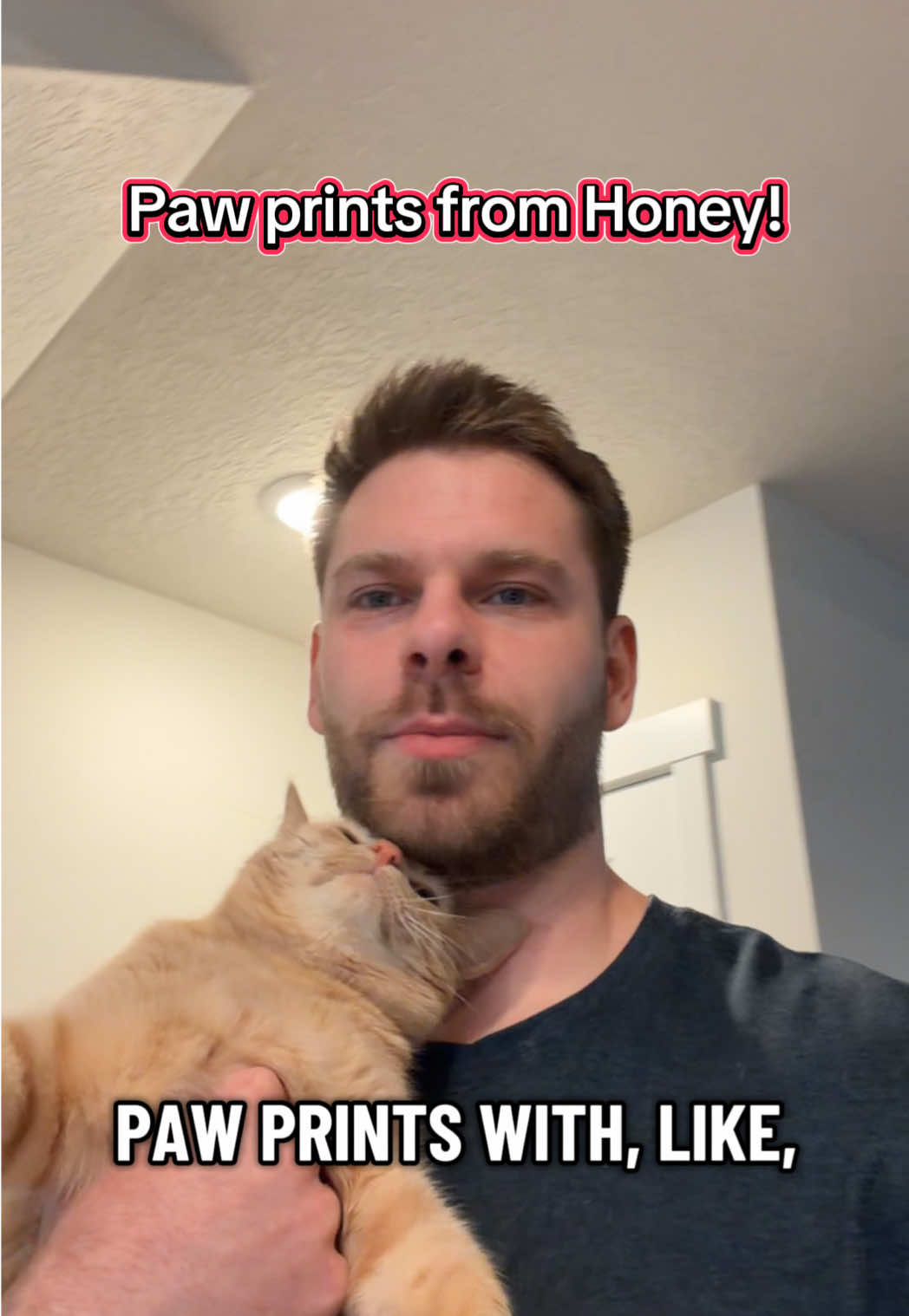 @honeythecat
