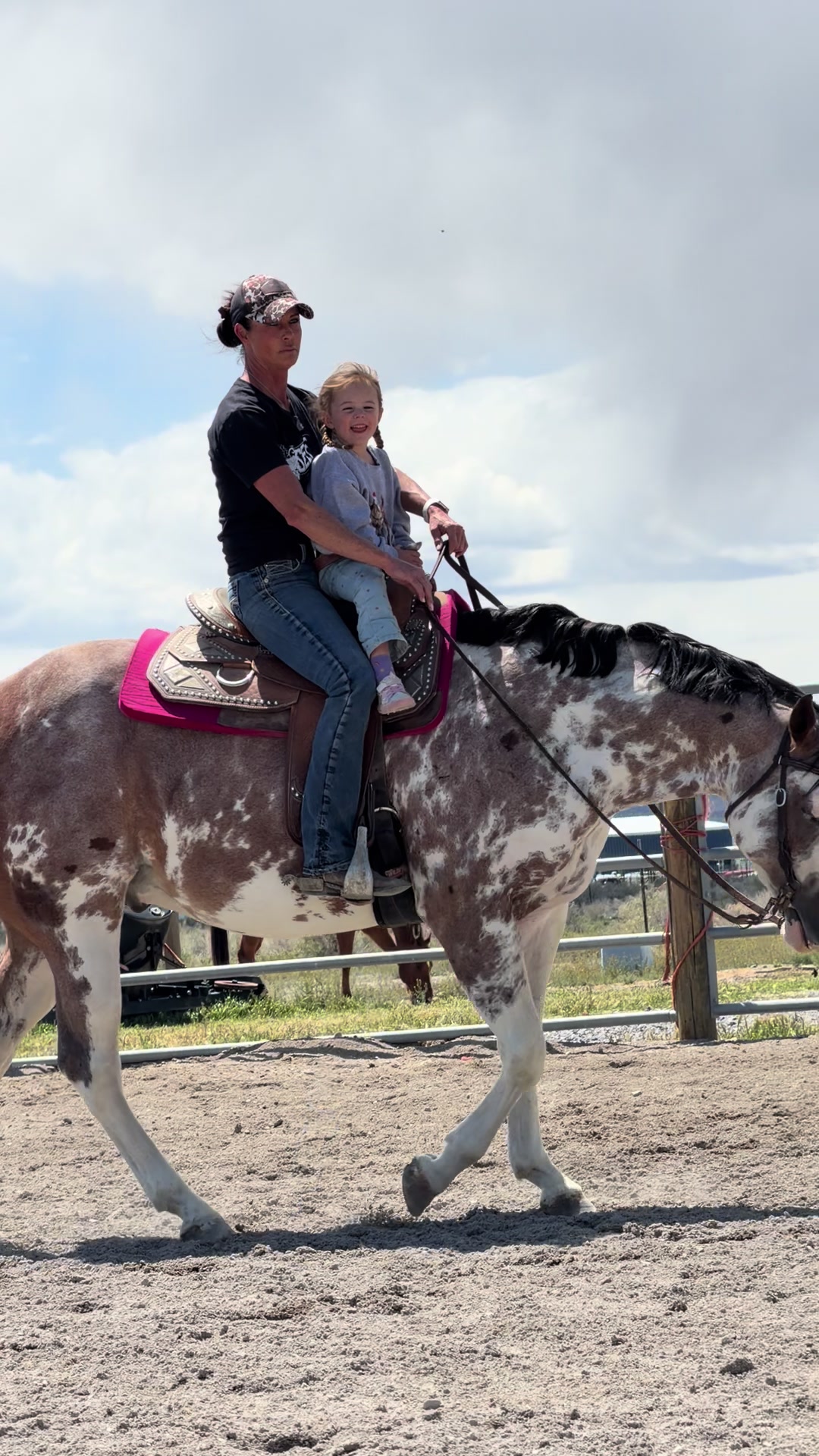 @horselife
