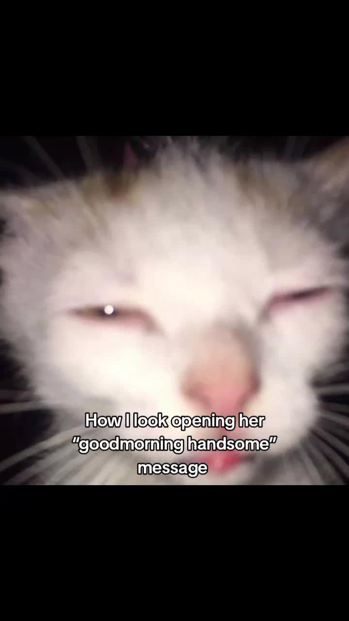 @Spooky