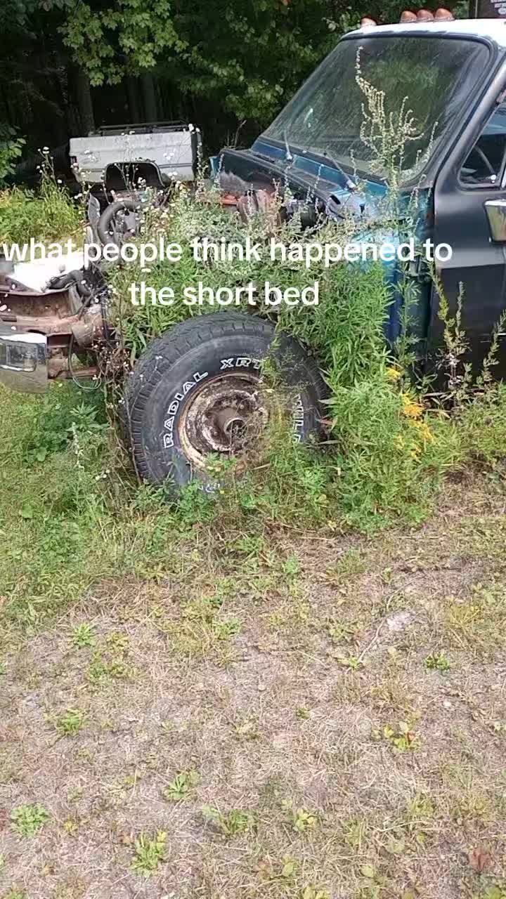 @wyattcurit