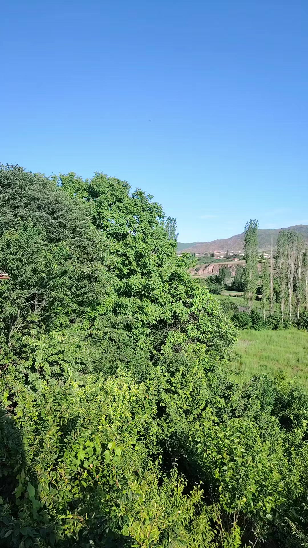 @ZİRVƏ RƏQS ANSAMBLI TOVUZ