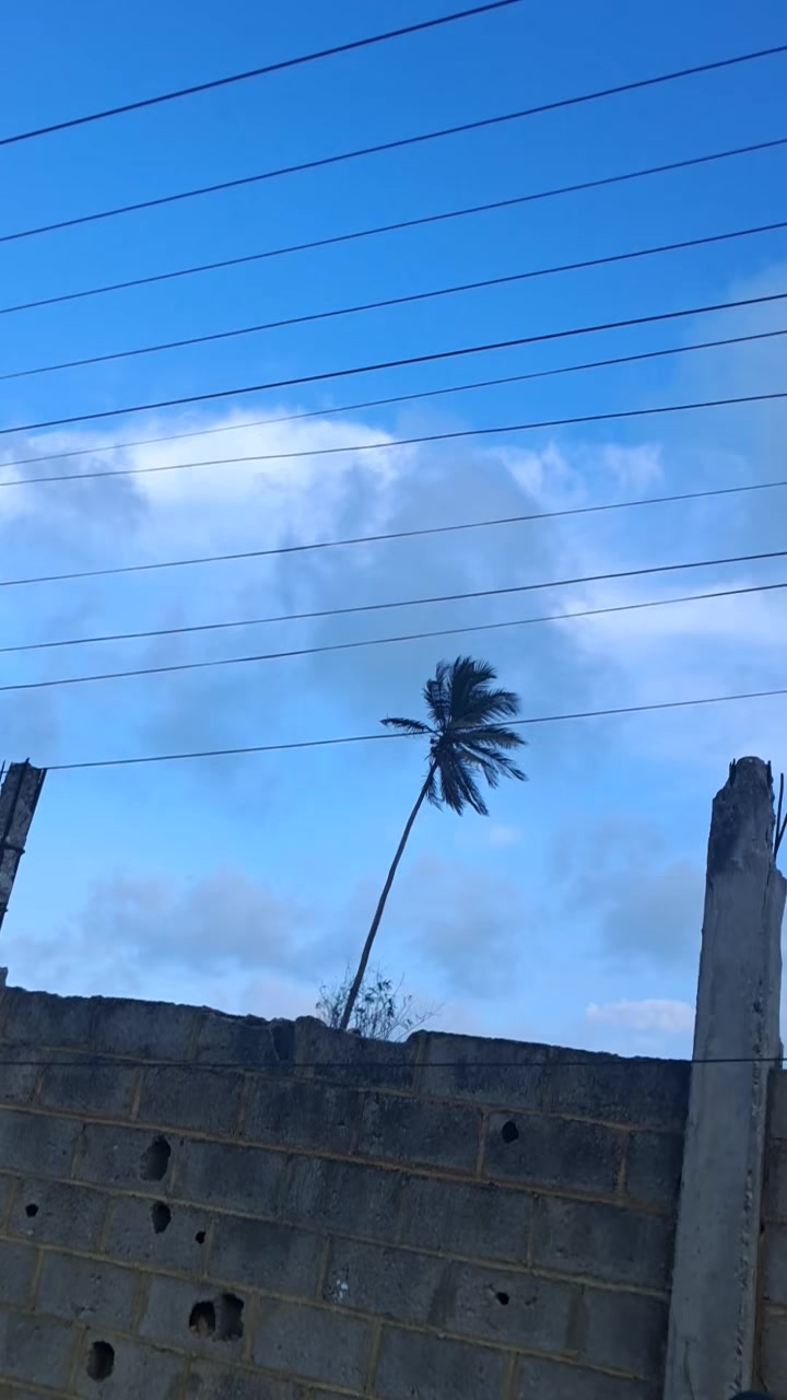 @ටᴘ┋reyes !