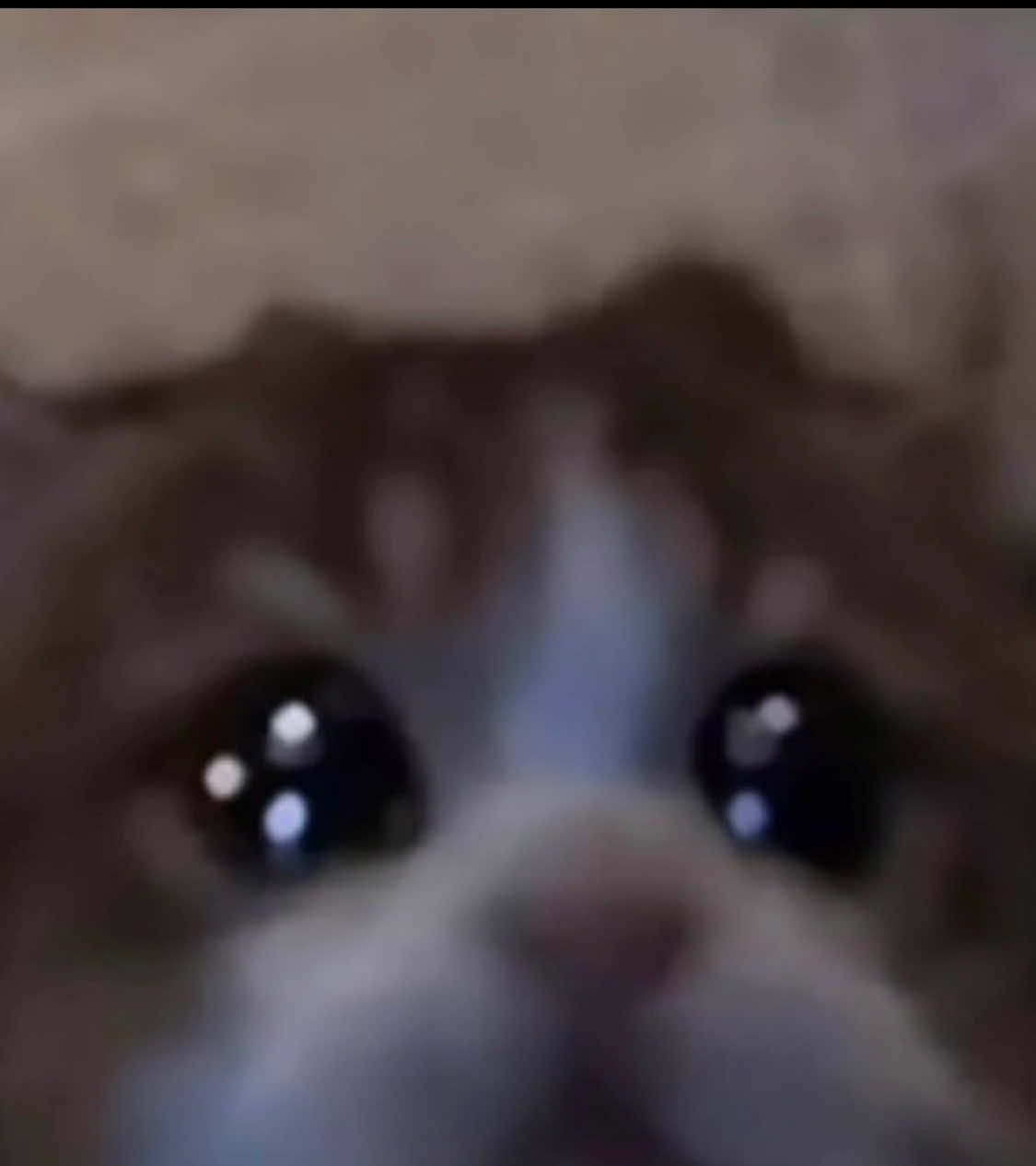 @𝒜𝒢