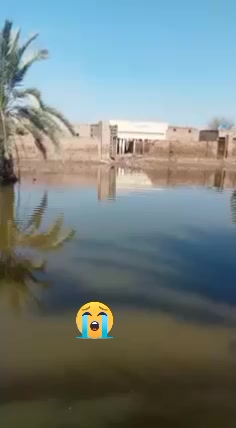 @kreemshaikh