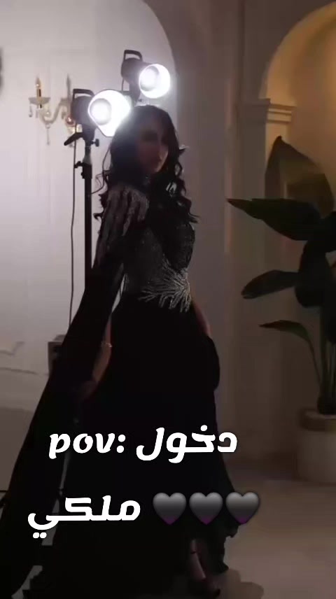 @طائر النورس