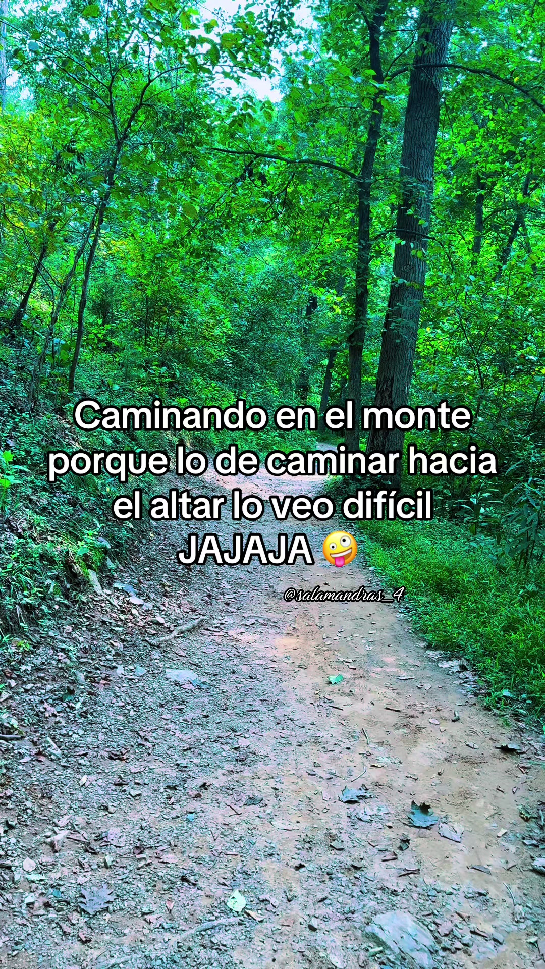 @La salamandra 🦎❤️&zwj;🔥🤎