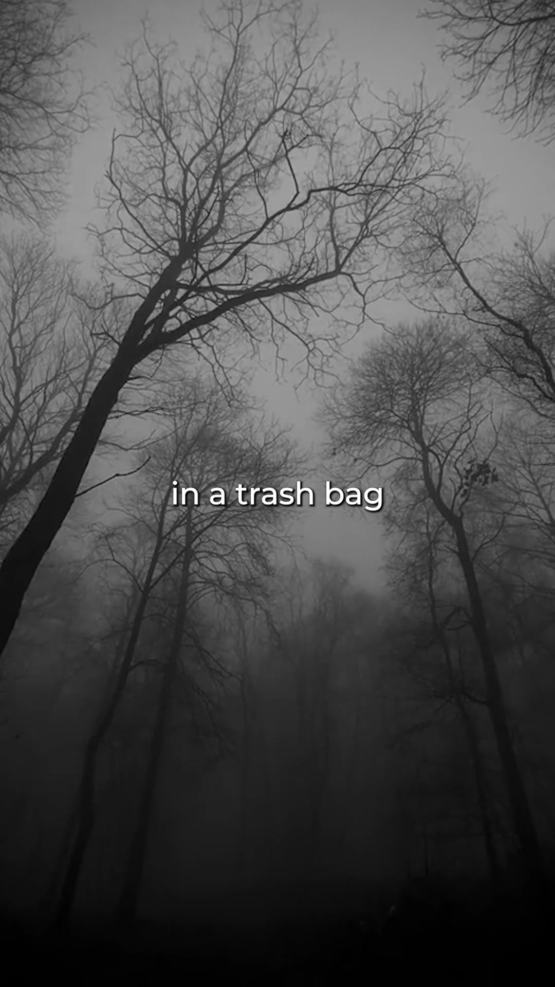 @NF Lyrics