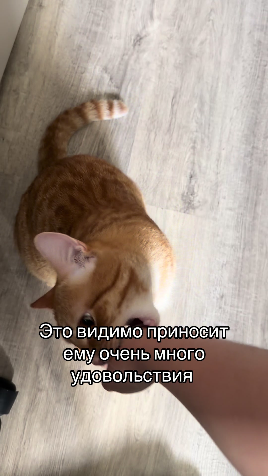 @кастрюля