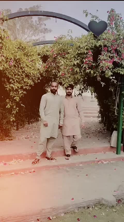 @Muhammad shahmeer