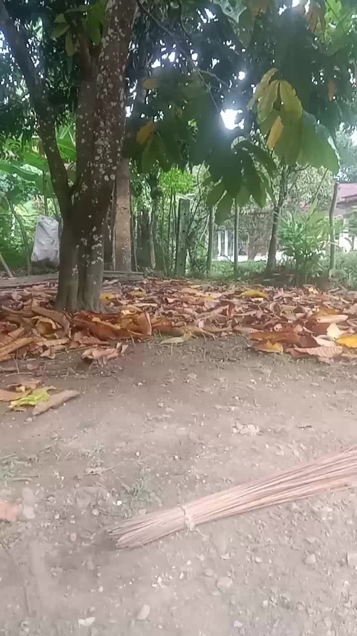 @notifikasi dari tik tok