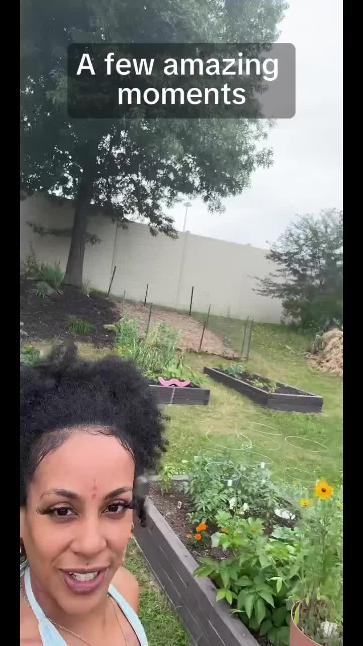 @Saafyr