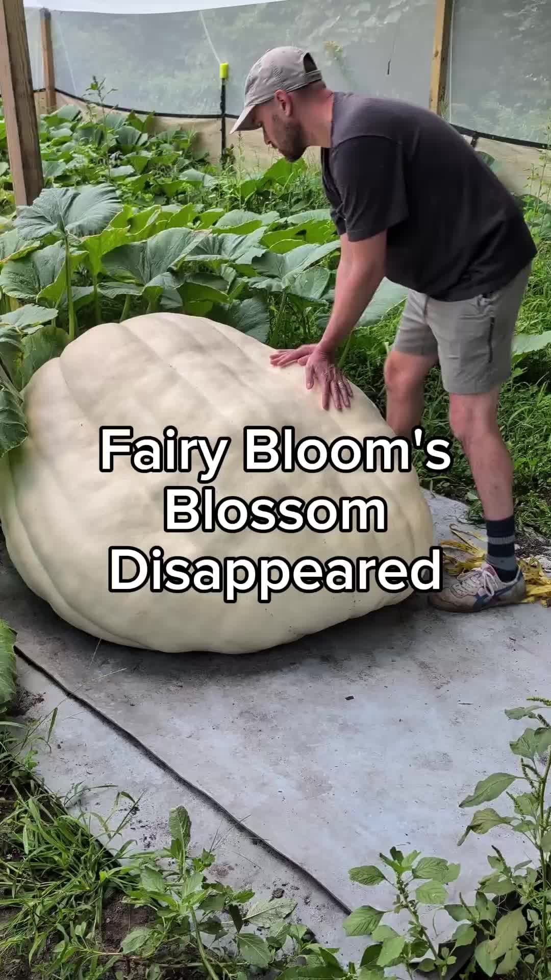 @bigpumpki
