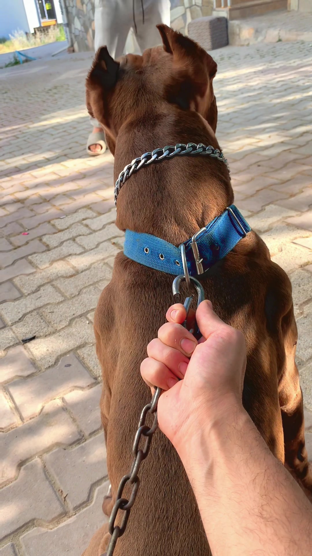 @BARUTBEYY🐶