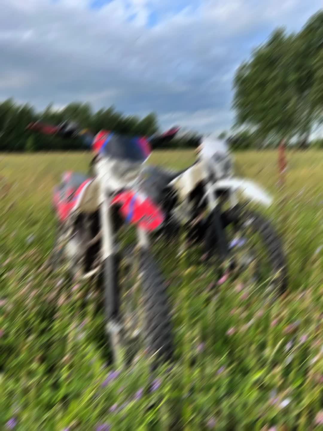 @🕷️