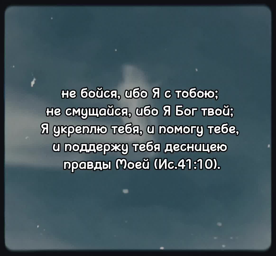 @Голубь ☦️