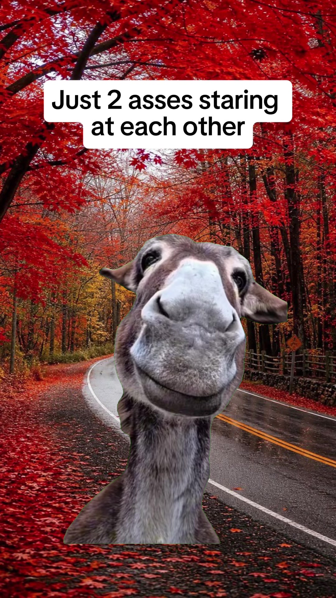 @🦄 alicejones121625 🦄