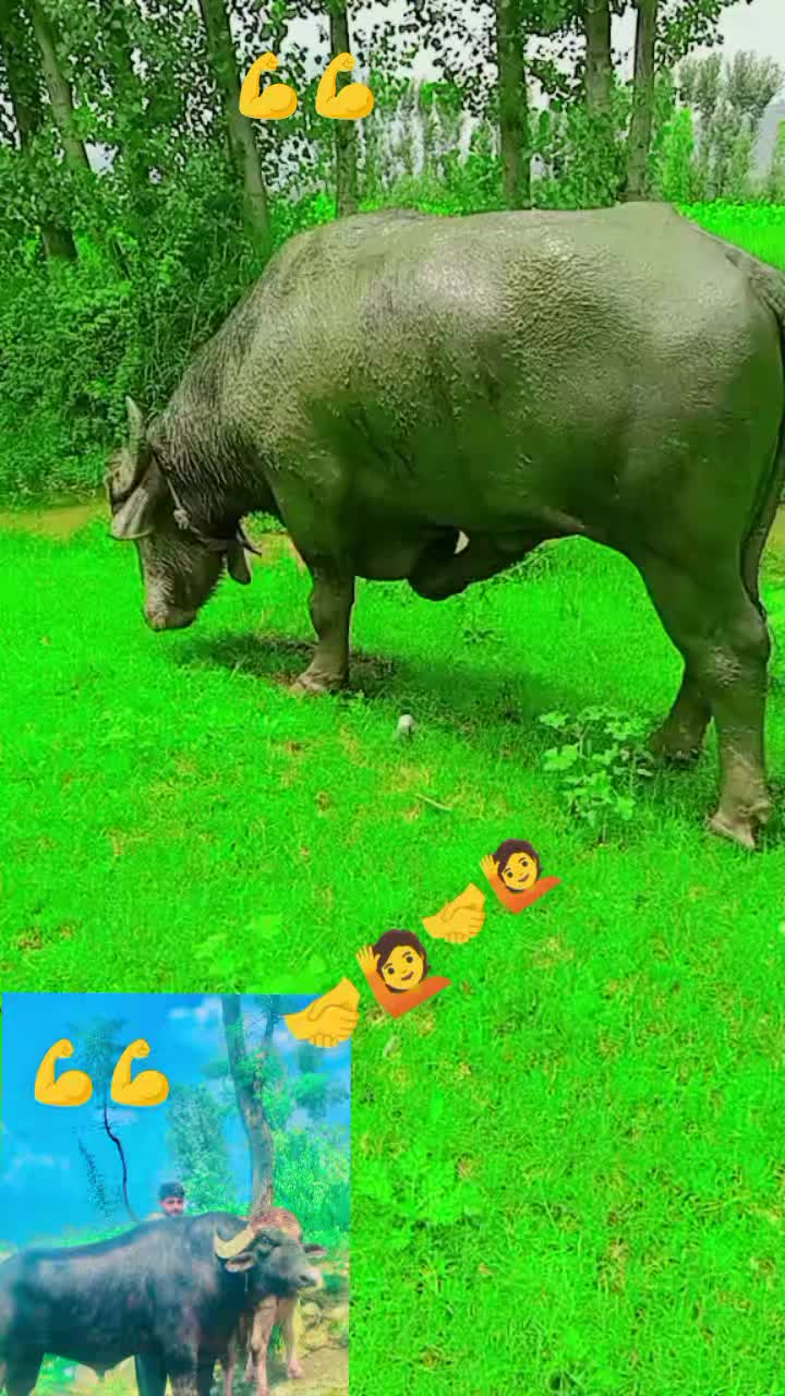 @ASAD Sarkar123