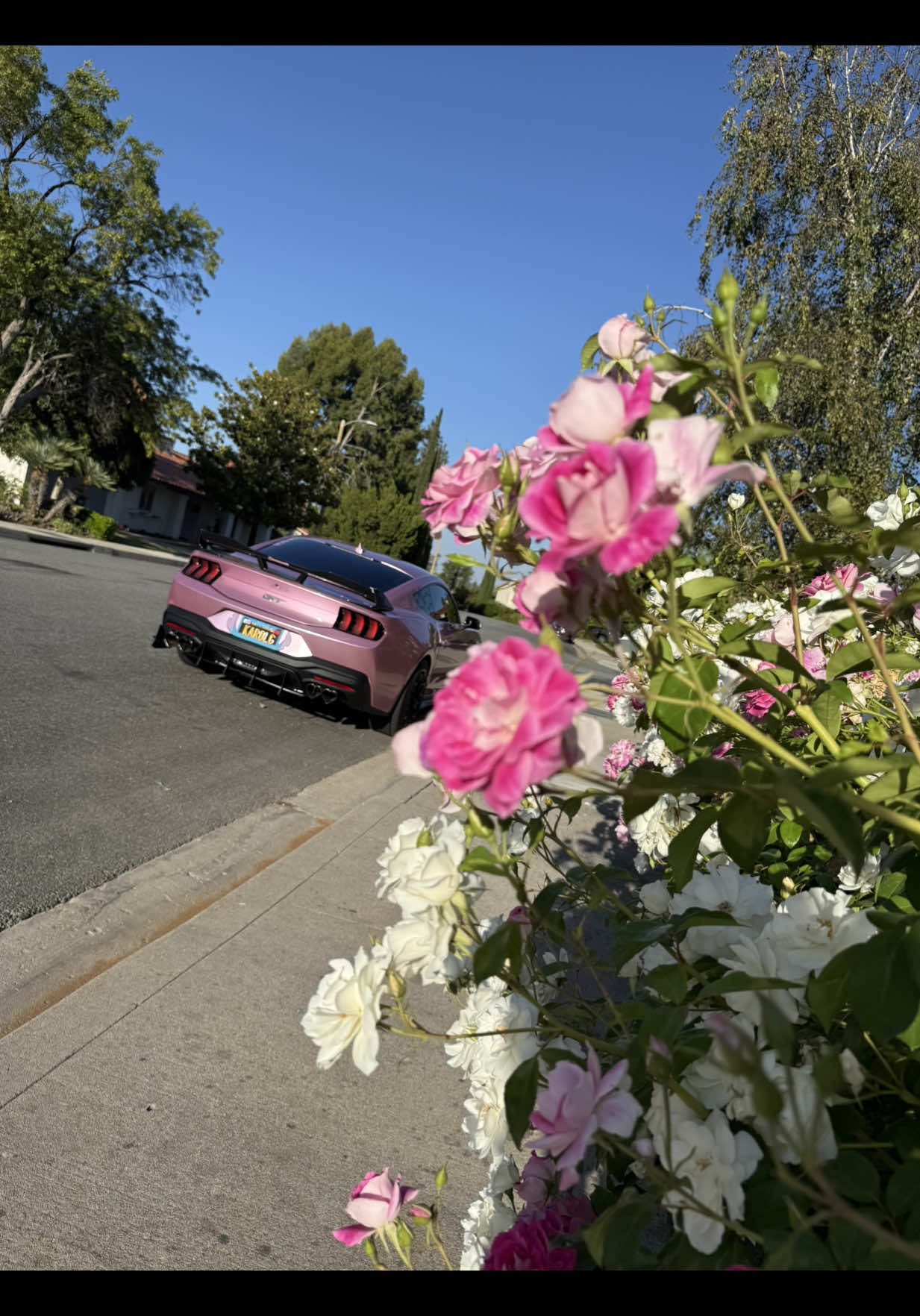 @✿♡ 𝓑𝓲𝓬𝓱𝓸𝓽𝓪95 ♡✿