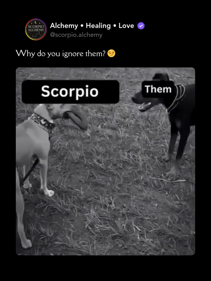 @Scorpio Alchemy