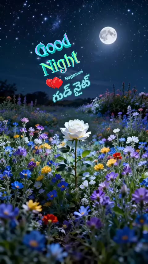 @🌿💞 Nagamani 💞🌿🌹Oman 🌹
