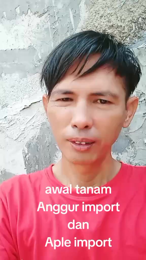 @play produk🛒