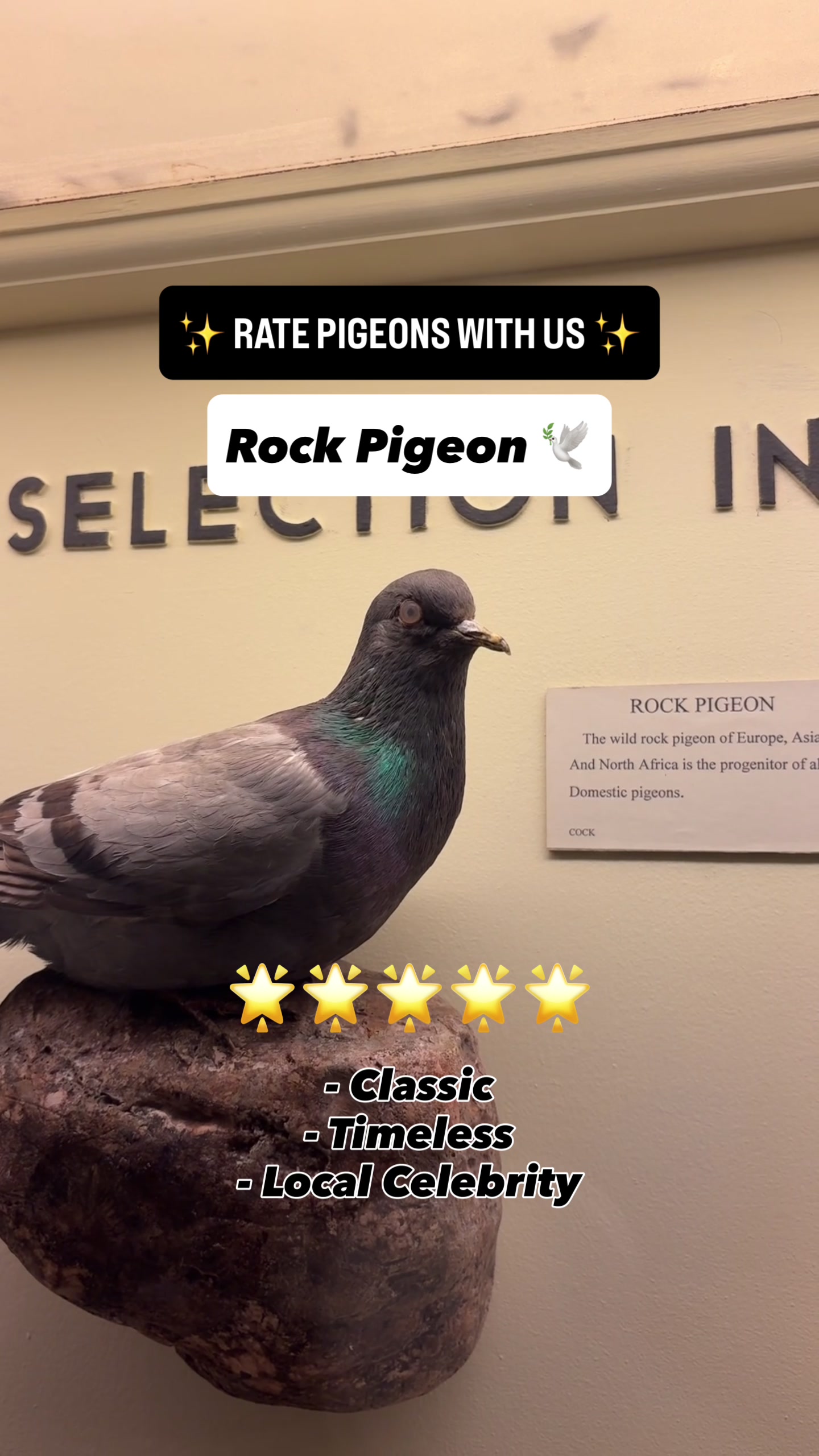 @Field Museum