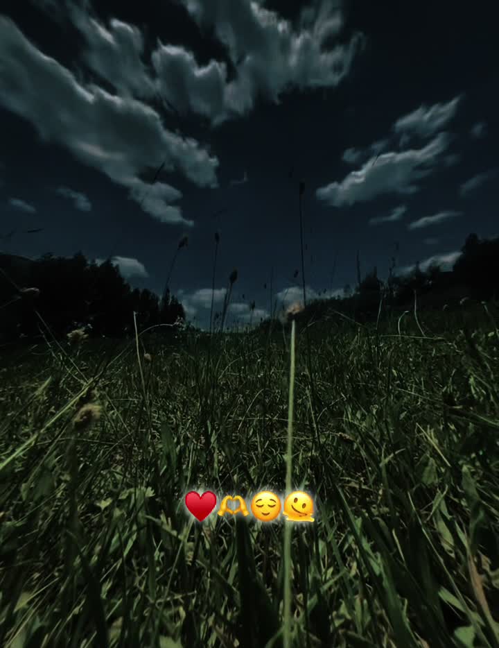 @꧁-丂9ㄒ・BLACK-꧂