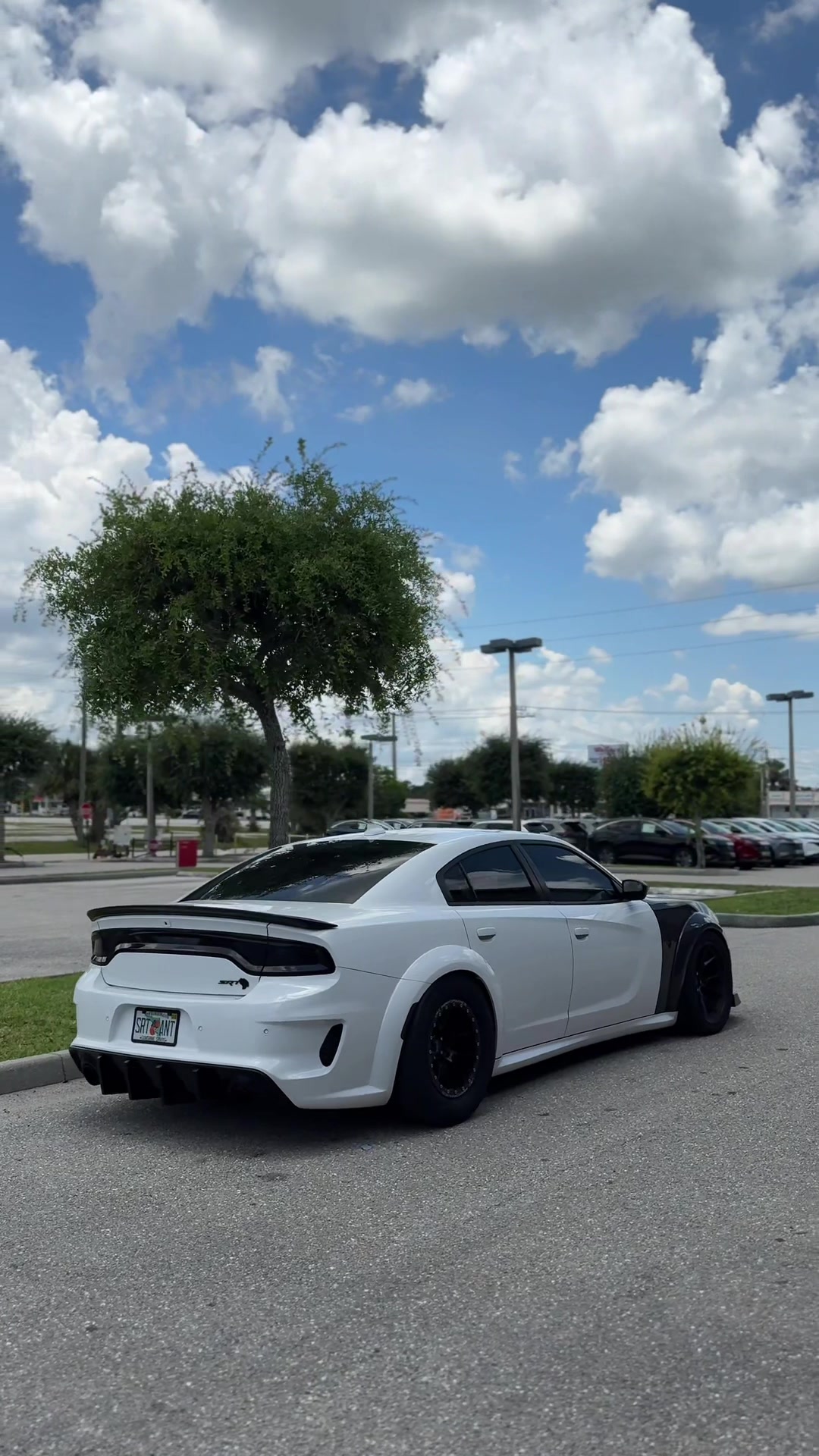 @srt ant