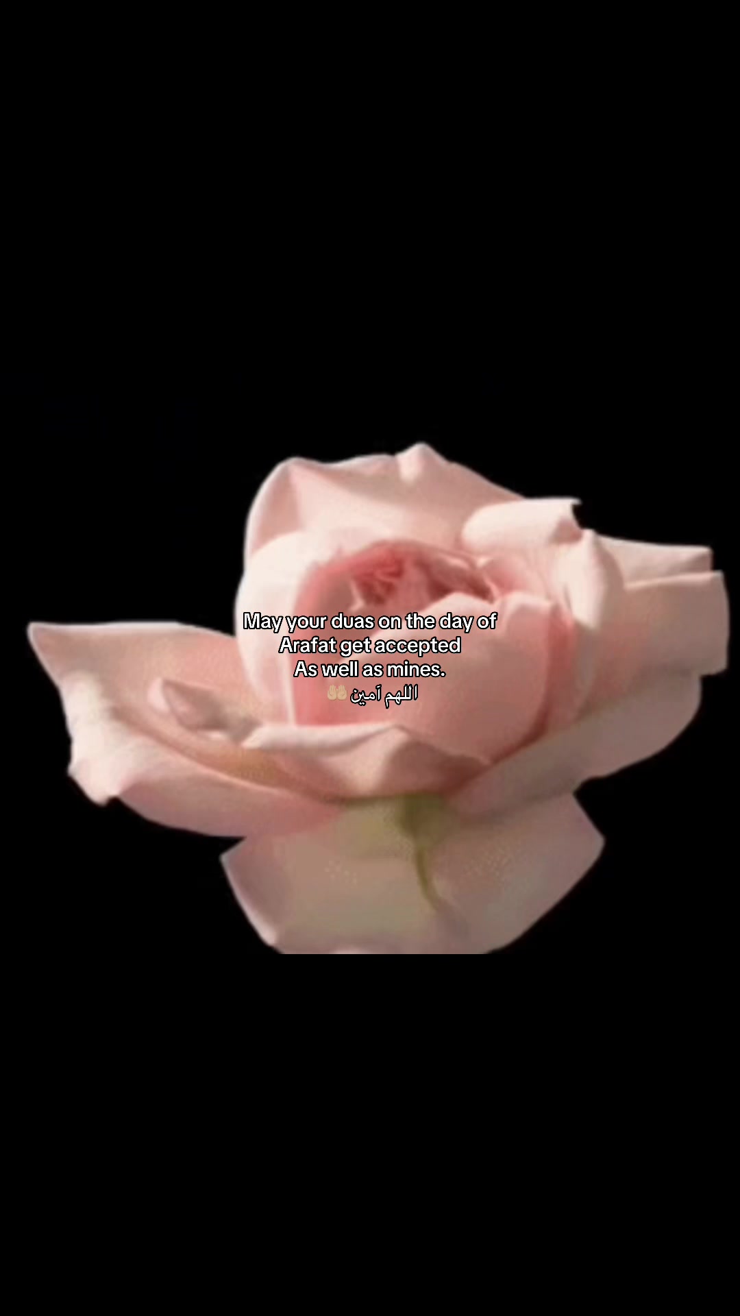 @℘