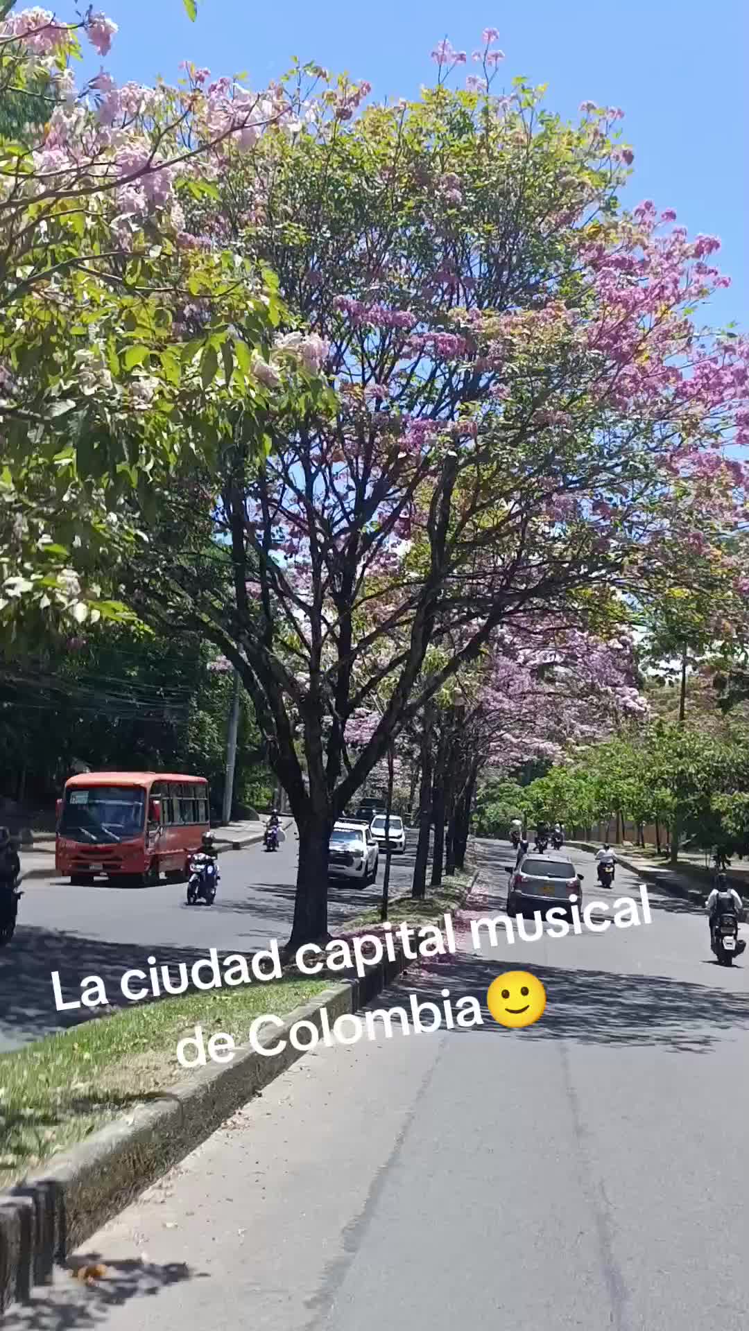 @Daniela