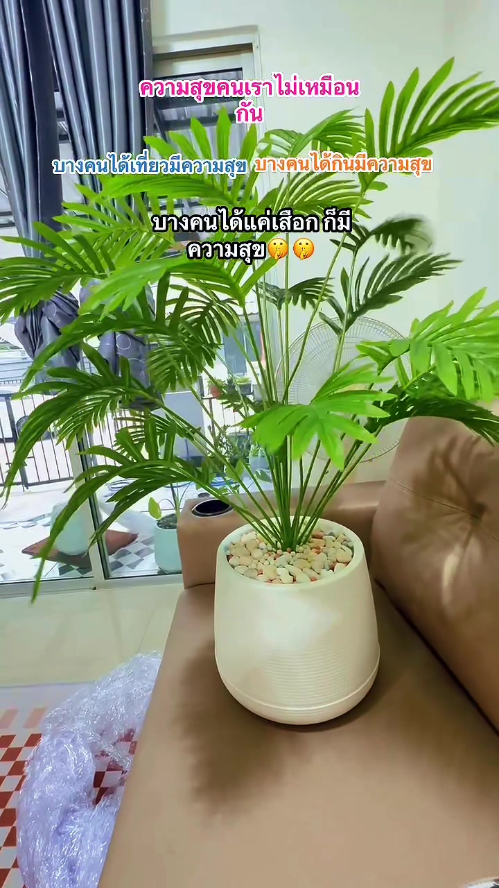 @โบวี่ โบวีท โบวี