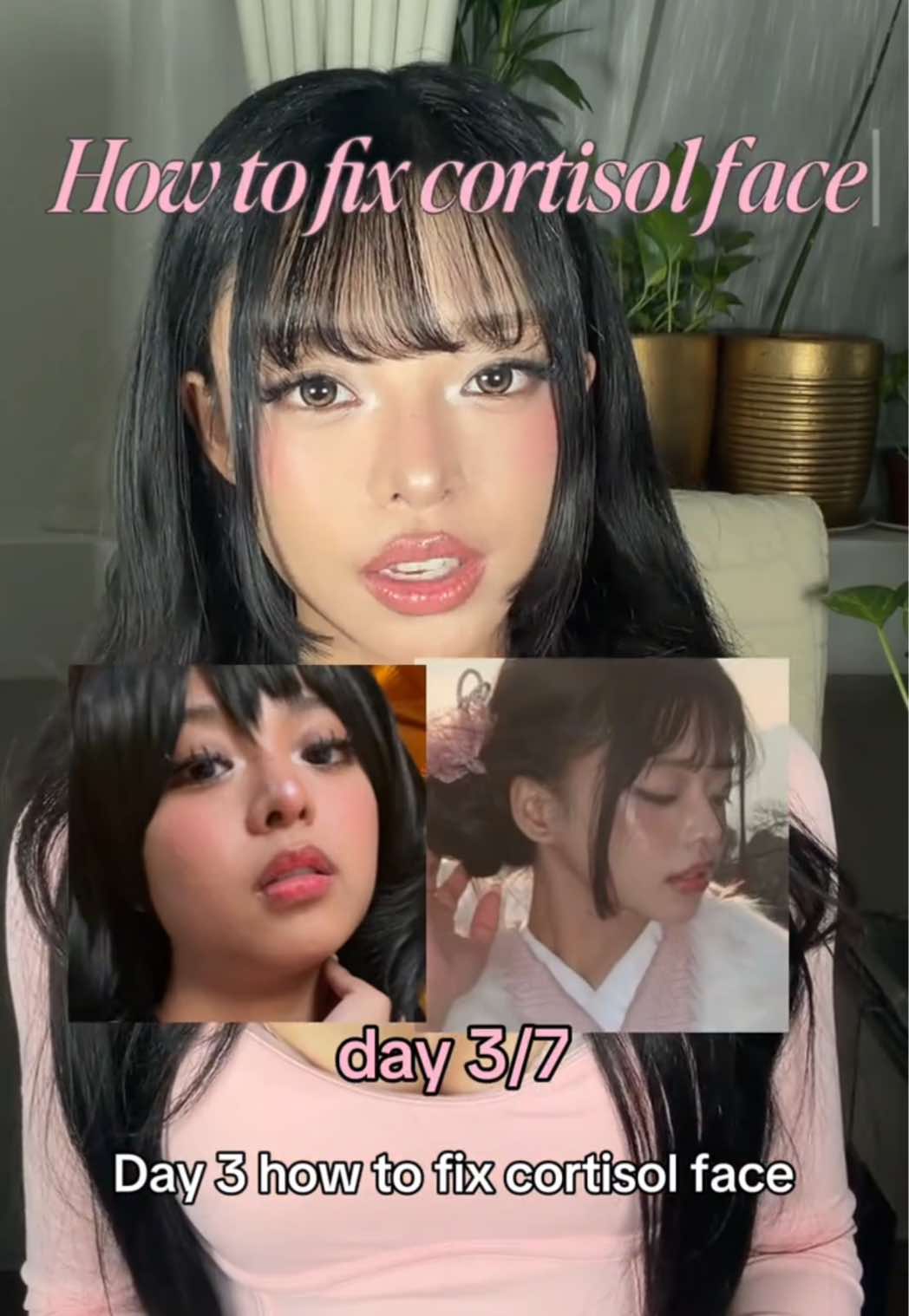@mei monte ❣️