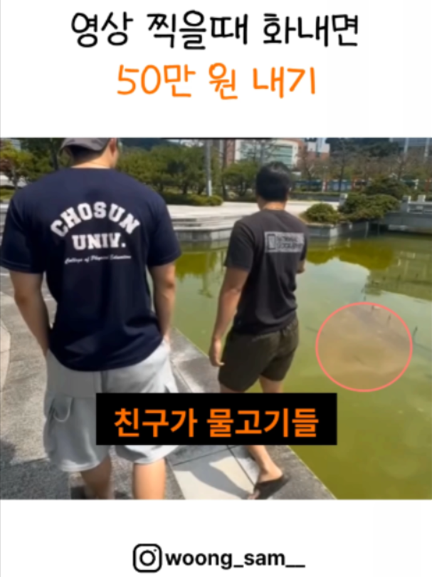 @인기영상