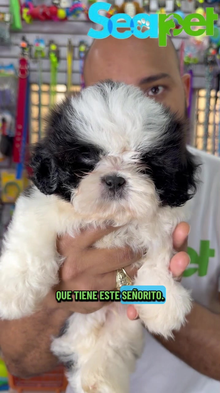 @Seapet