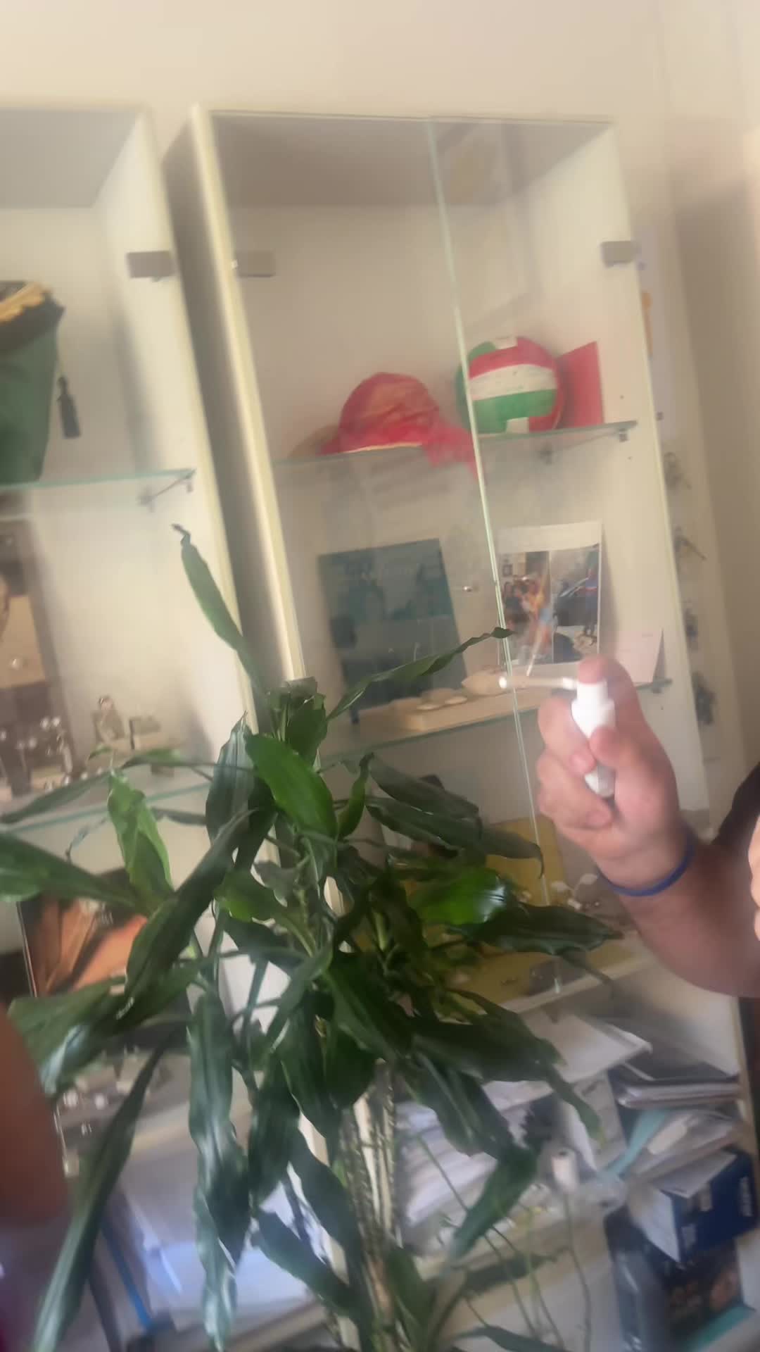 @Carla | Travel Advisor