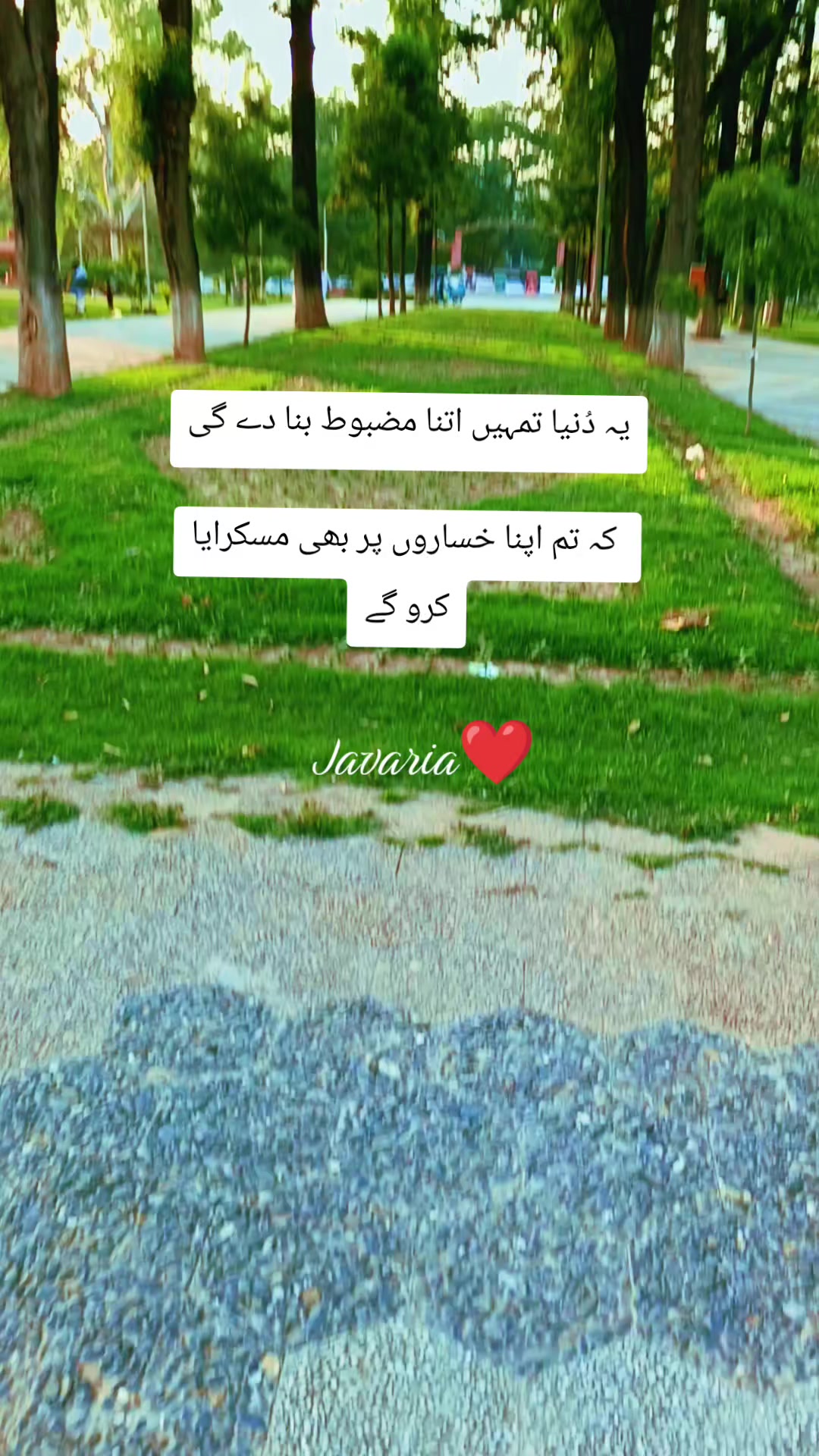 @Dr. Javaria