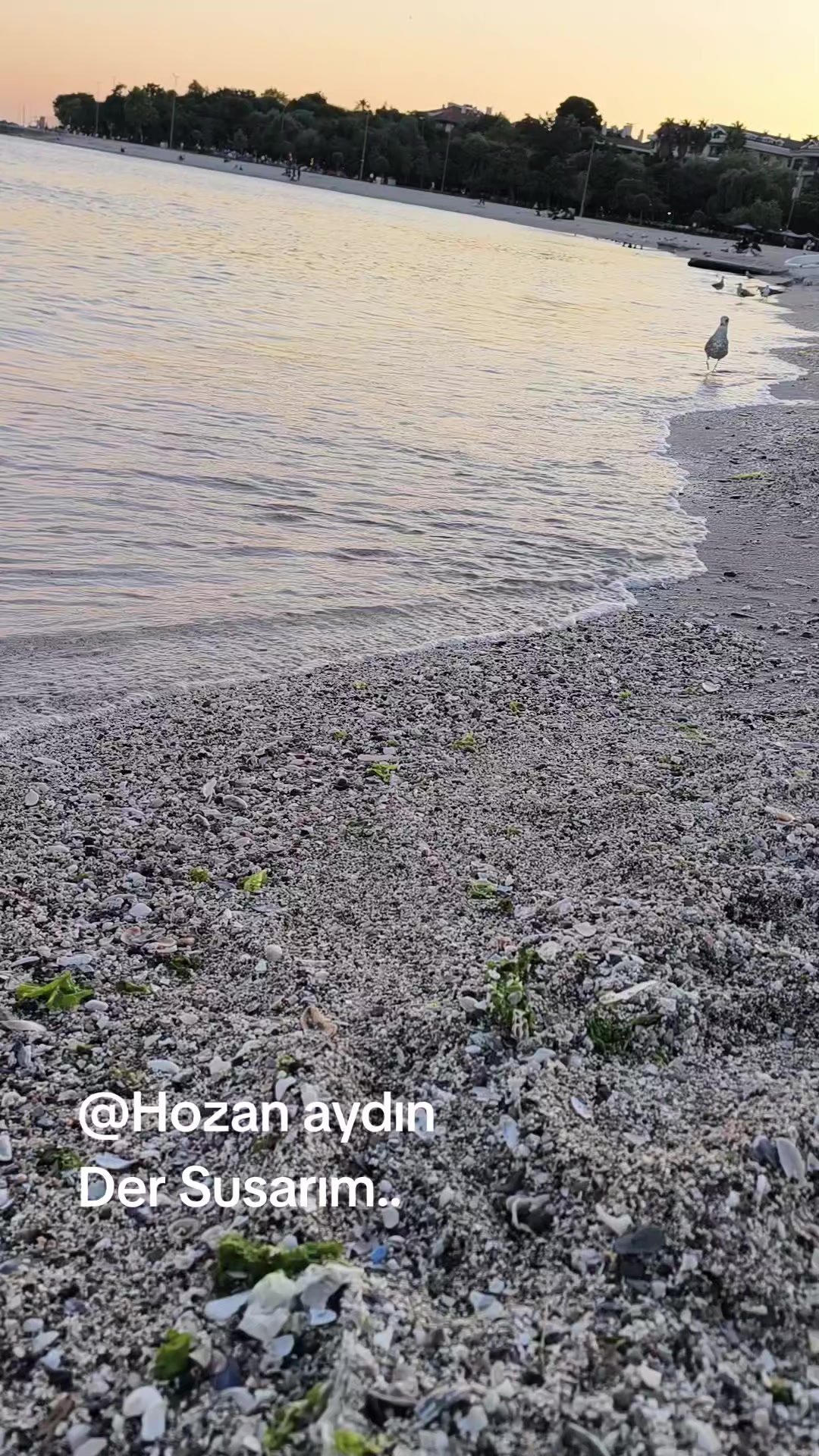 @turan_öcal