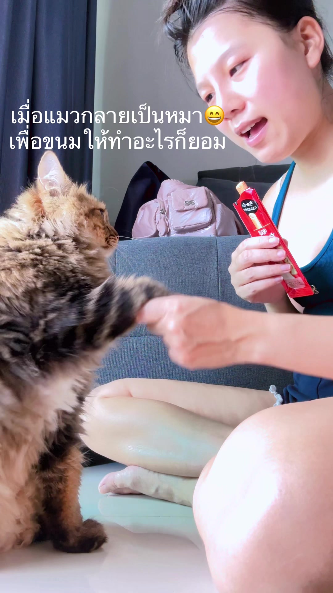 @CEO แมวยูโร😽งานป้ายมือ1 มือ2