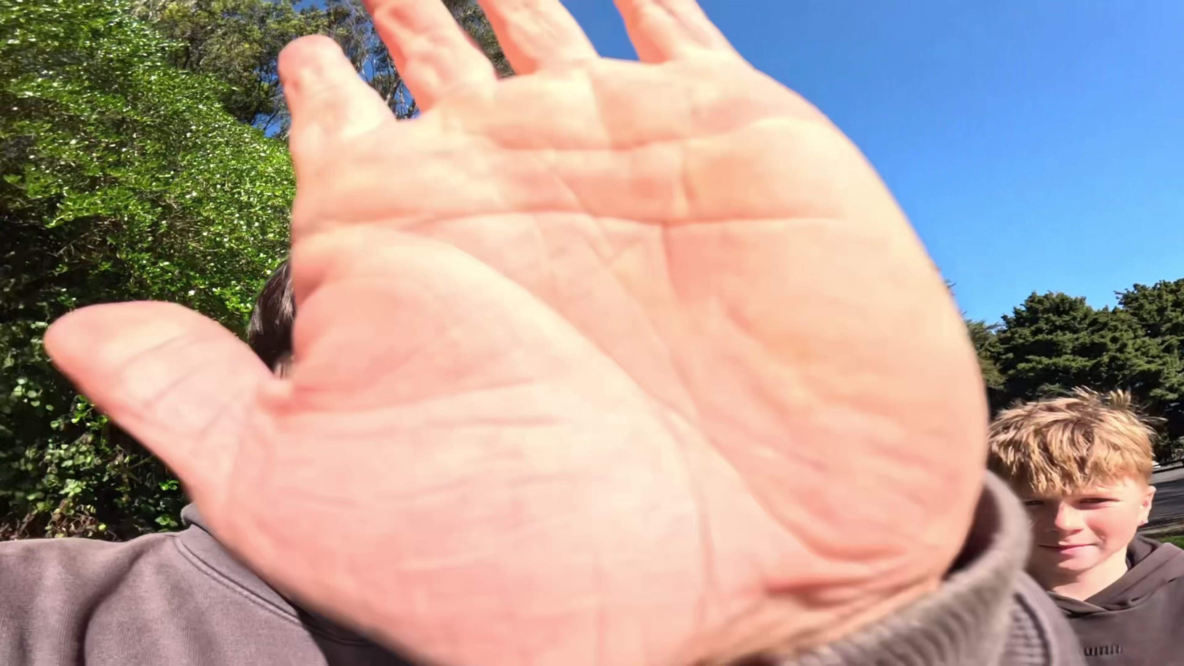 @lachiebull_