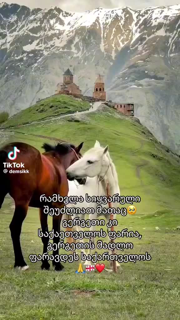 @Manana Jugashvili