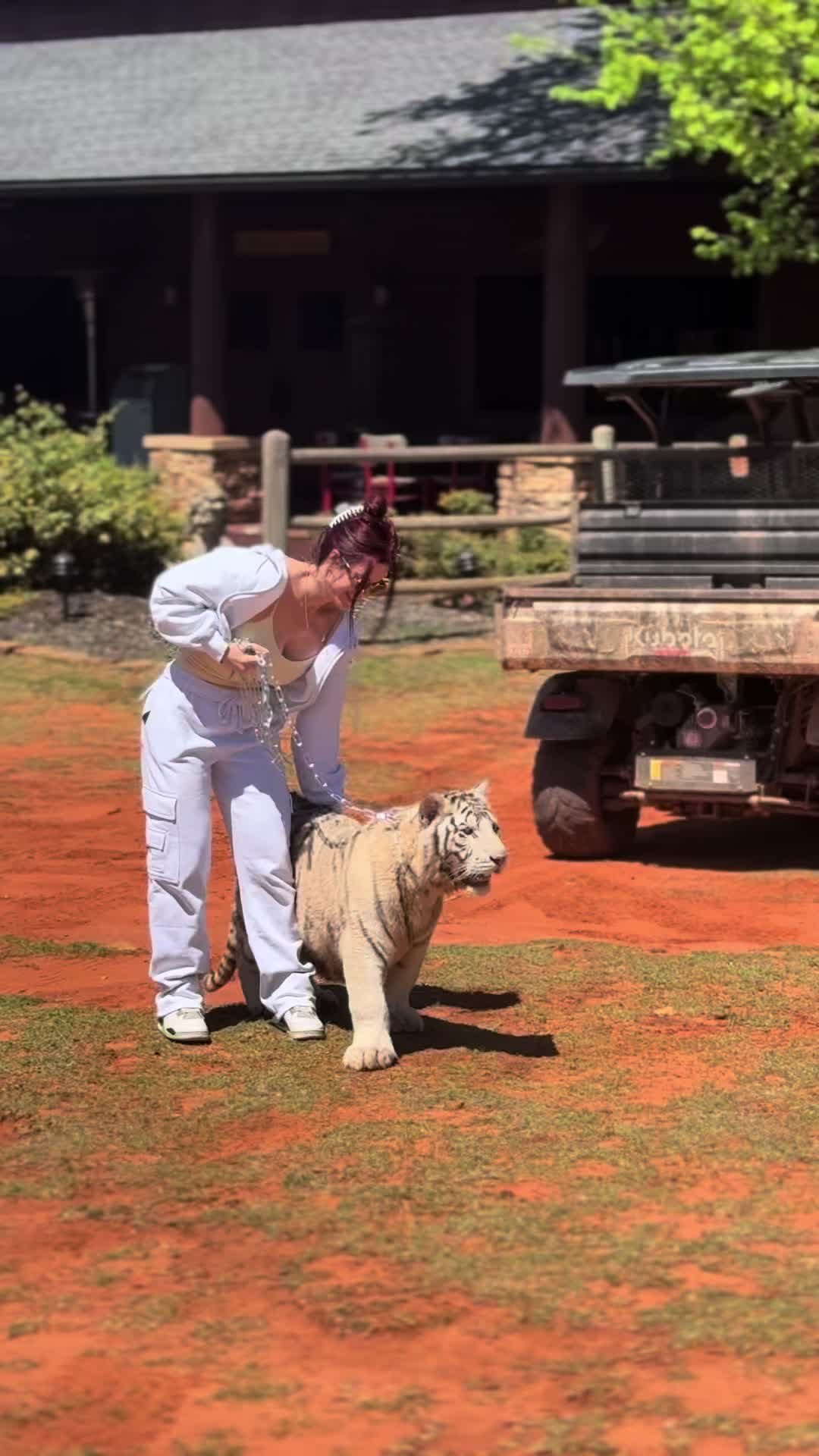@Tigersafari