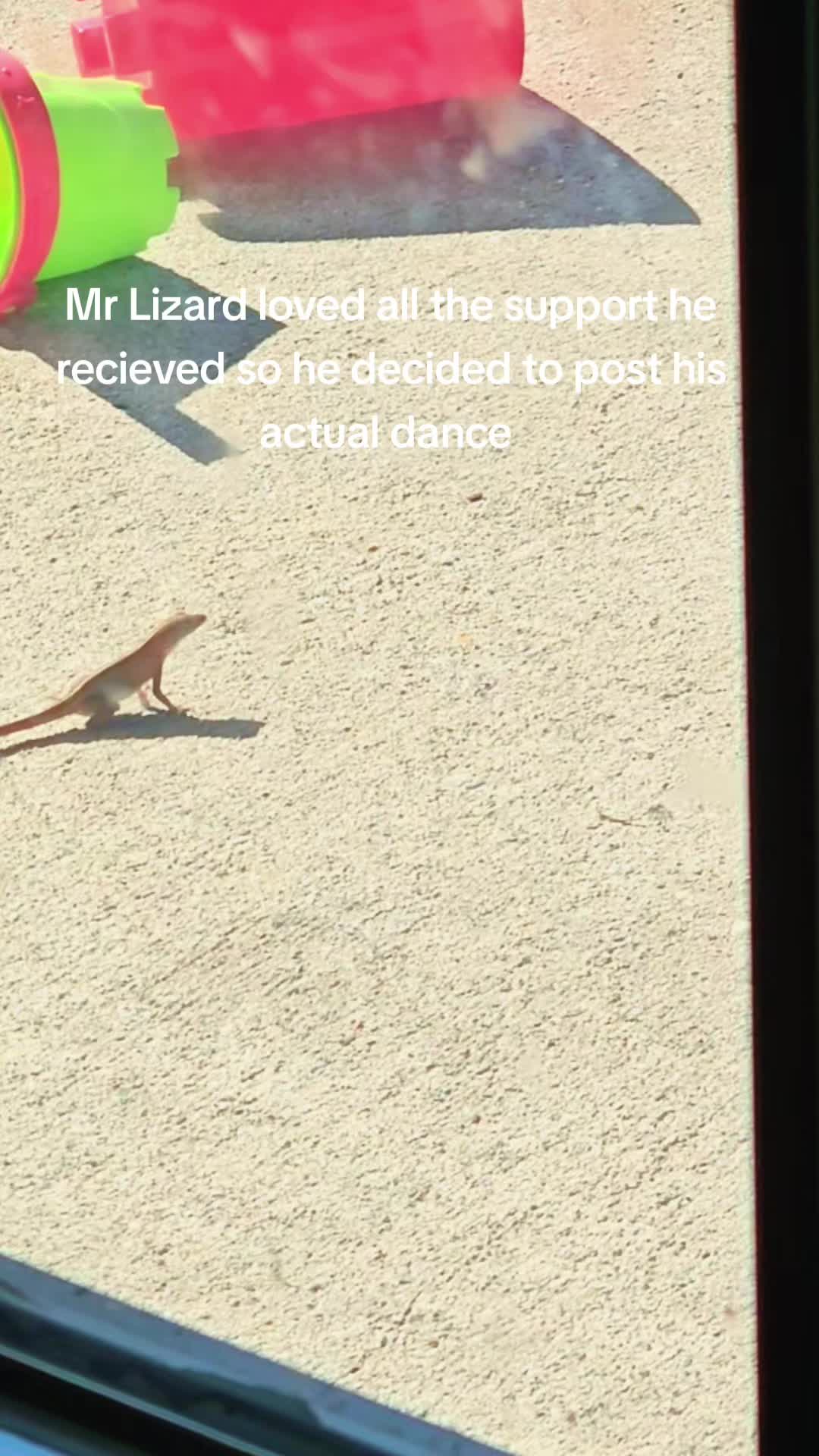 @dragom5