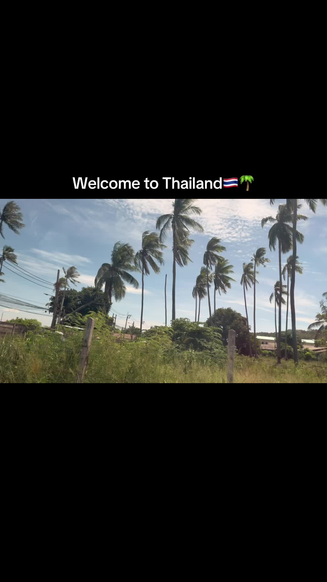 @Lily