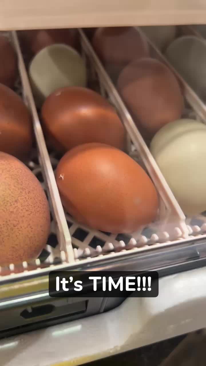 @MorganCostello | Realtor