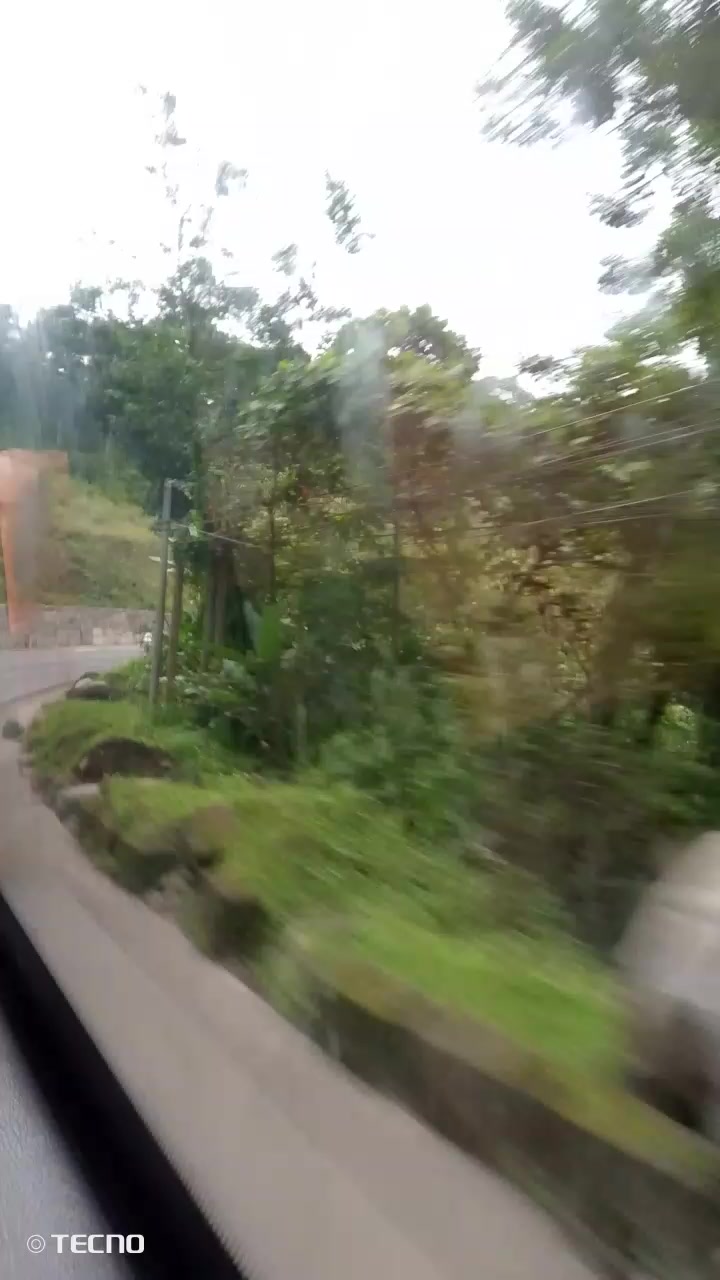 @wildedon vlog