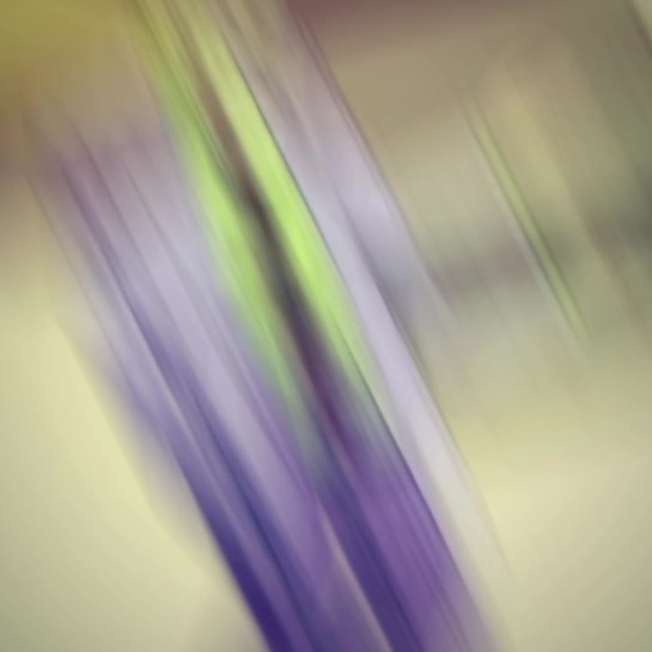 @бургер [🇨🇳]