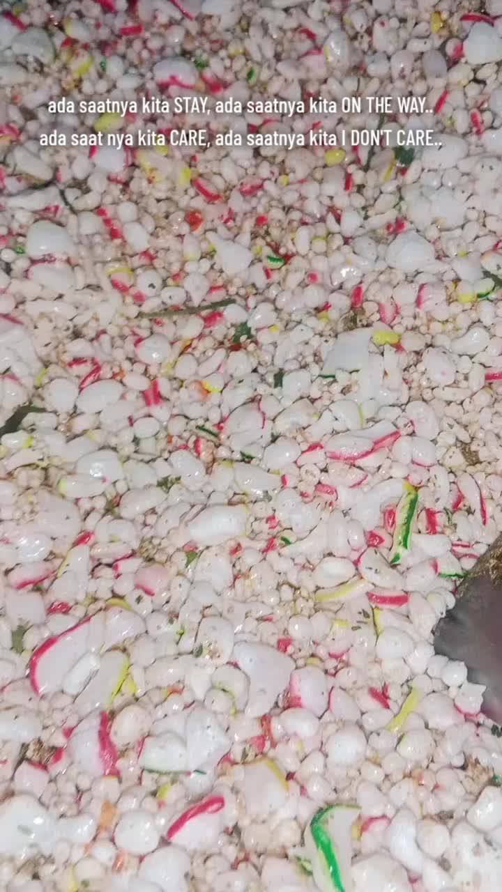 @V. Violitta