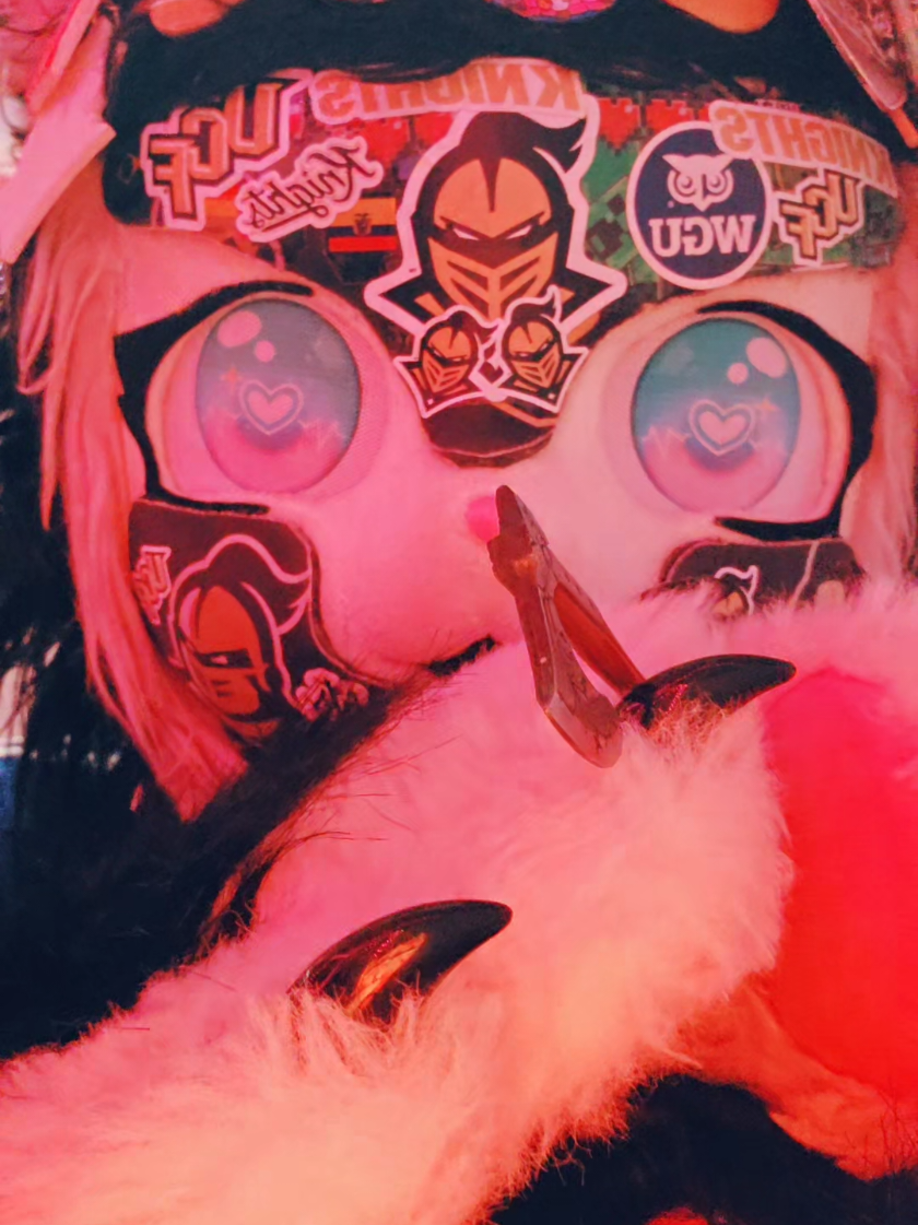 @UCFFURRY